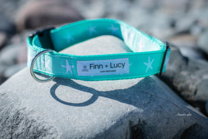 Believe in Starfish - Collar - Finn & Lucy Premium Pet Gear
