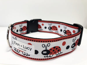 Lady Bug Luck - Finn & Lucy Premium Pet Gear